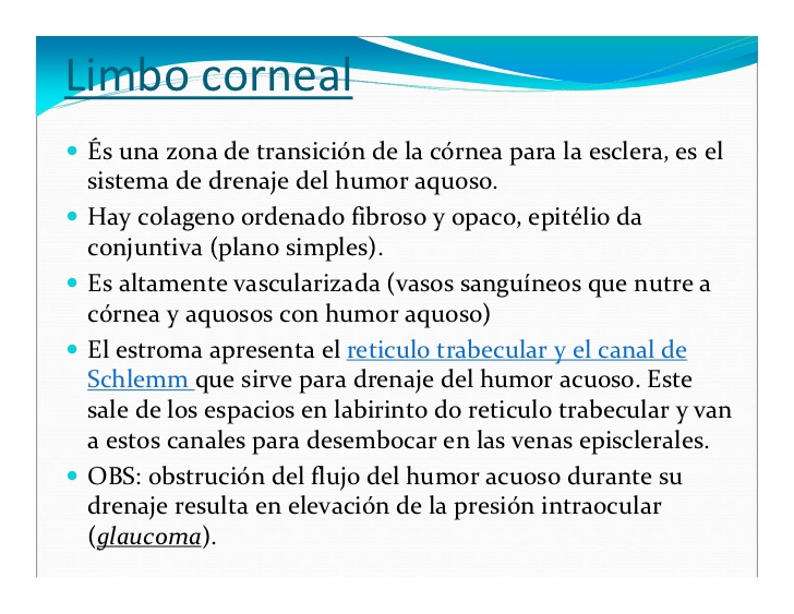 Limbo corneal
 És una zona de transición de la córnea para la esclera, es el
 sistema de drenaje del humor aquoso.
 Hay co...